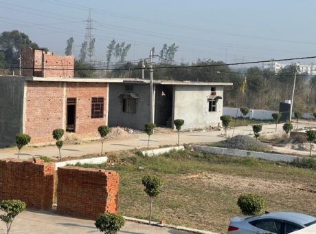 WhatsApp Image 2026-01-21 at 12.54.13