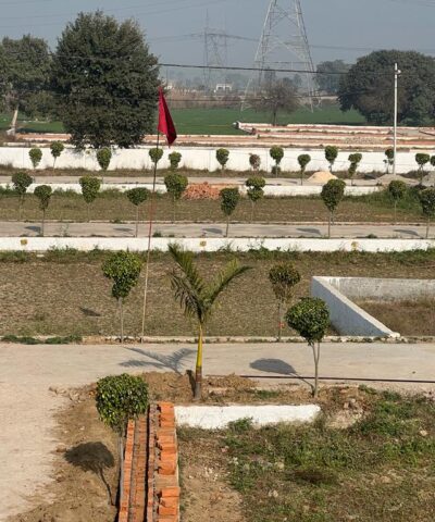 WhatsApp Image 2026-01-21 at 12.54.14