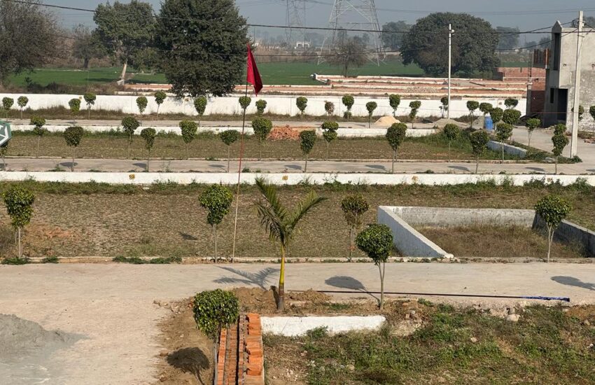 WhatsApp Image 2026-01-21 at 12.54.14